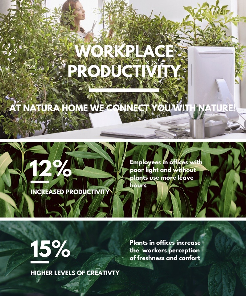 Infographic: Connecting with nature to increase productivity